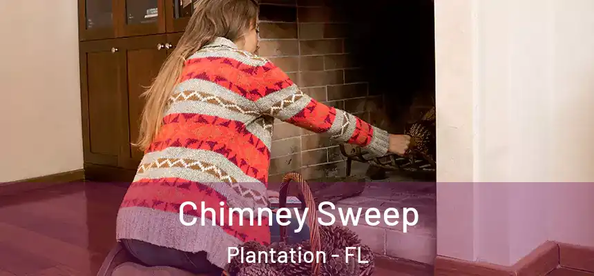  Chimney Sweep Plantation - FL