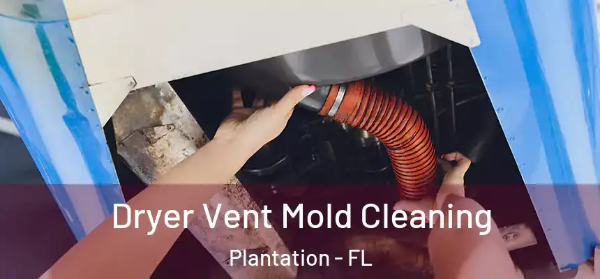 Dryer Vent Mold Cleaning Plantation - FL
