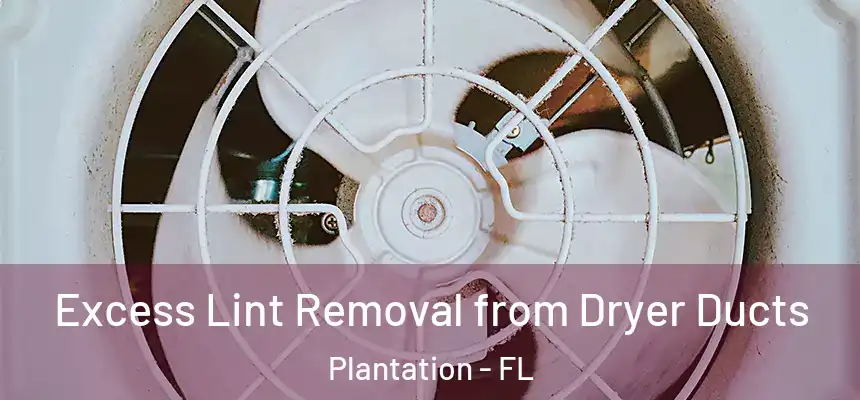 Excess Lint Removal from Dryer Ducts Plantation - FL