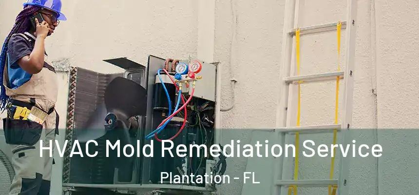 HVAC Mold Remediation Service Plantation - FL