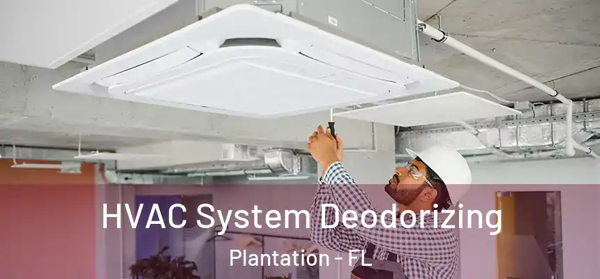 HVAC System Deodorizing Plantation - FL
