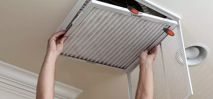 Preventive Cockroach-Proofing for Ducts in Plantation