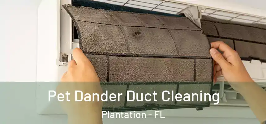 Pet Dander Duct Cleaning Plantation - FL