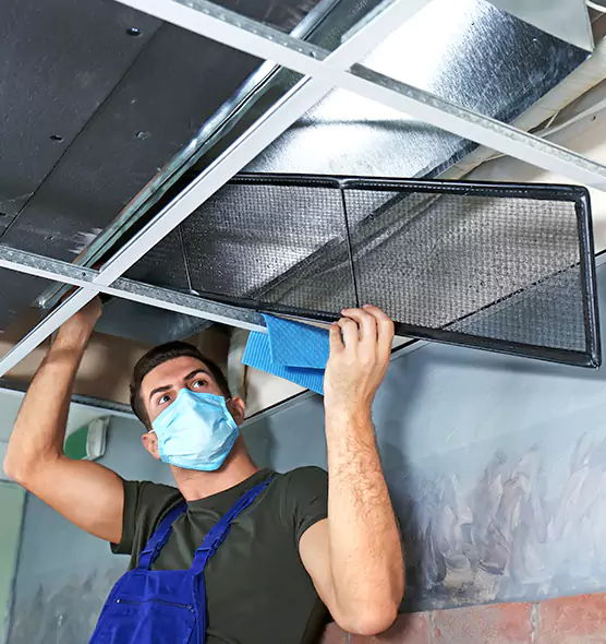 About Air Duct Bacteria Removal in Plantation