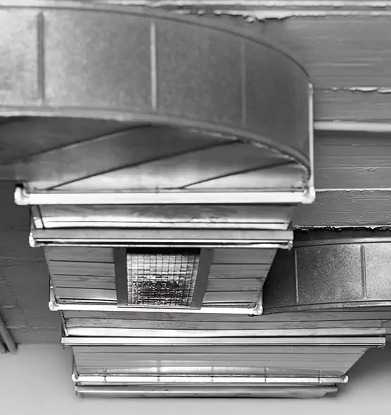 Professional Air Duct Pest Removal in Plantation, FL