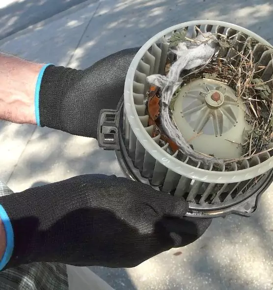 About Air Duct Rat Removal in Plantation, FL