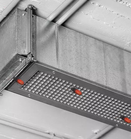 Affordable Insect Removal from Air Ducts in Plantation, FL