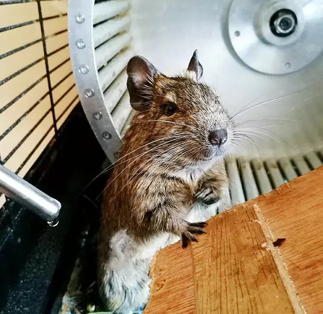 Why Homeowners & Businesses Trust Us Plantation, FL