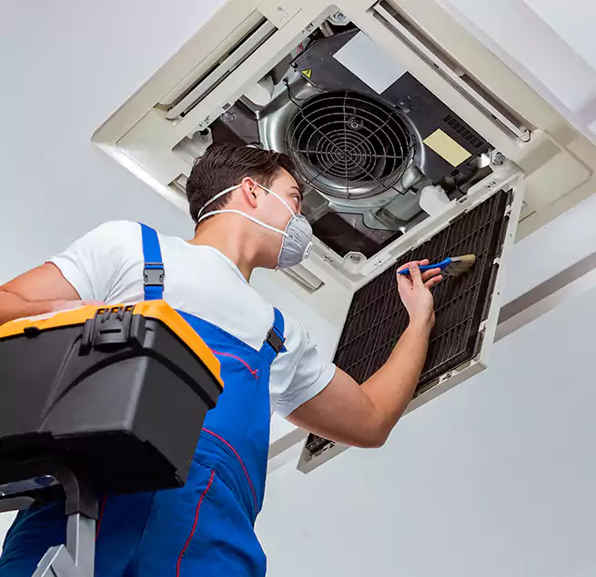 Why Homeowners & Businesses Trust Us in Plantation, FL