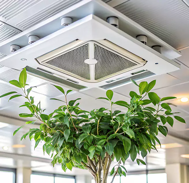 Why Homeowners & Businesses Trust Us in Plantation, FL?